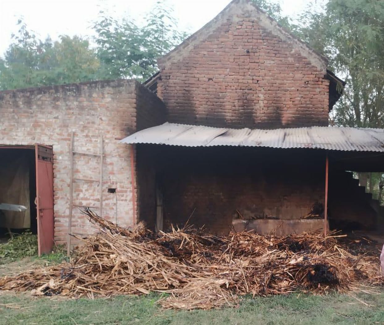 Animal shelter burnt to ashes in Kuneran, damage to car