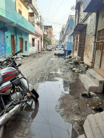 Why don't dengue and malaria spread, when the sanitation system in the city collapses