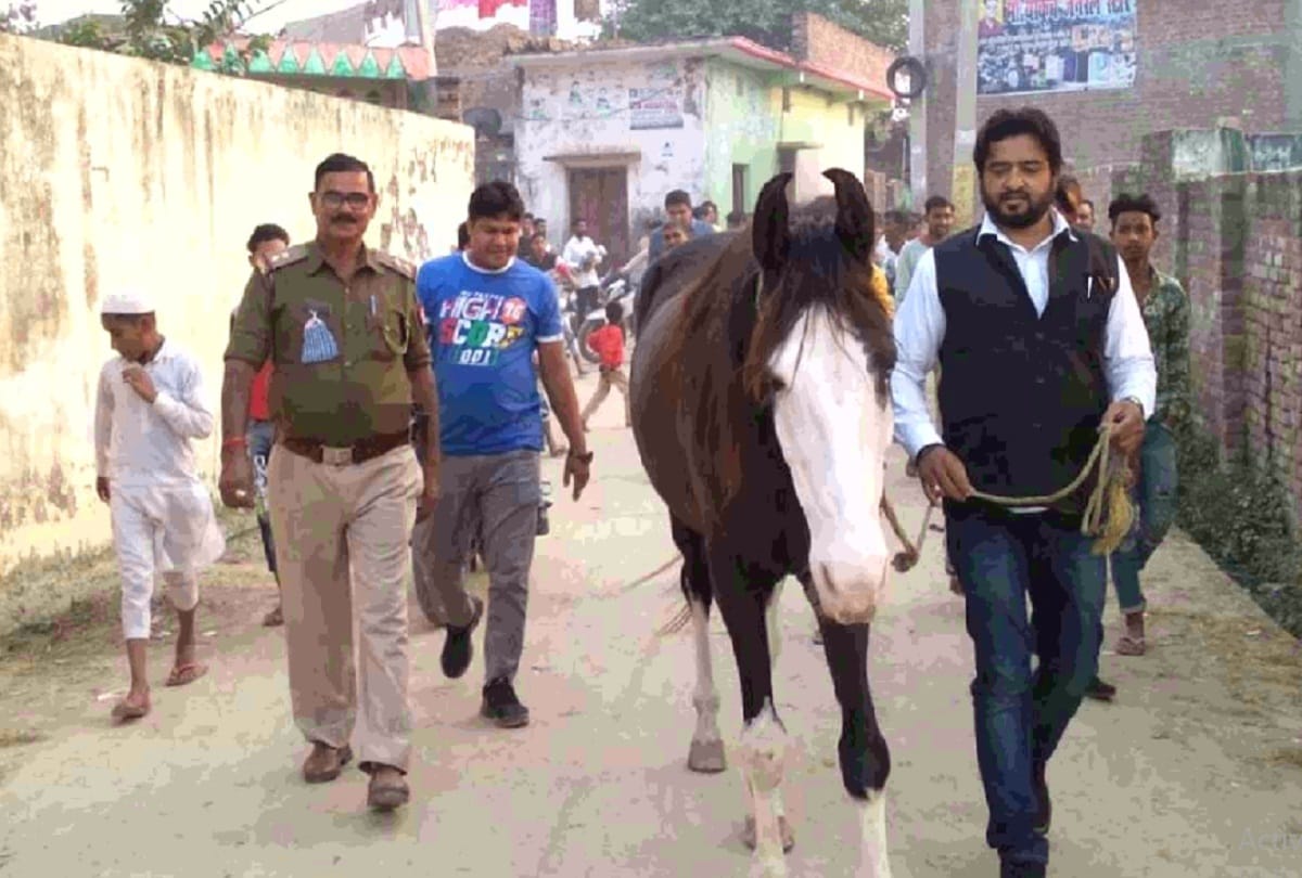like azam khan buffaloes rampur police also successful in finding the mare of congress leader
