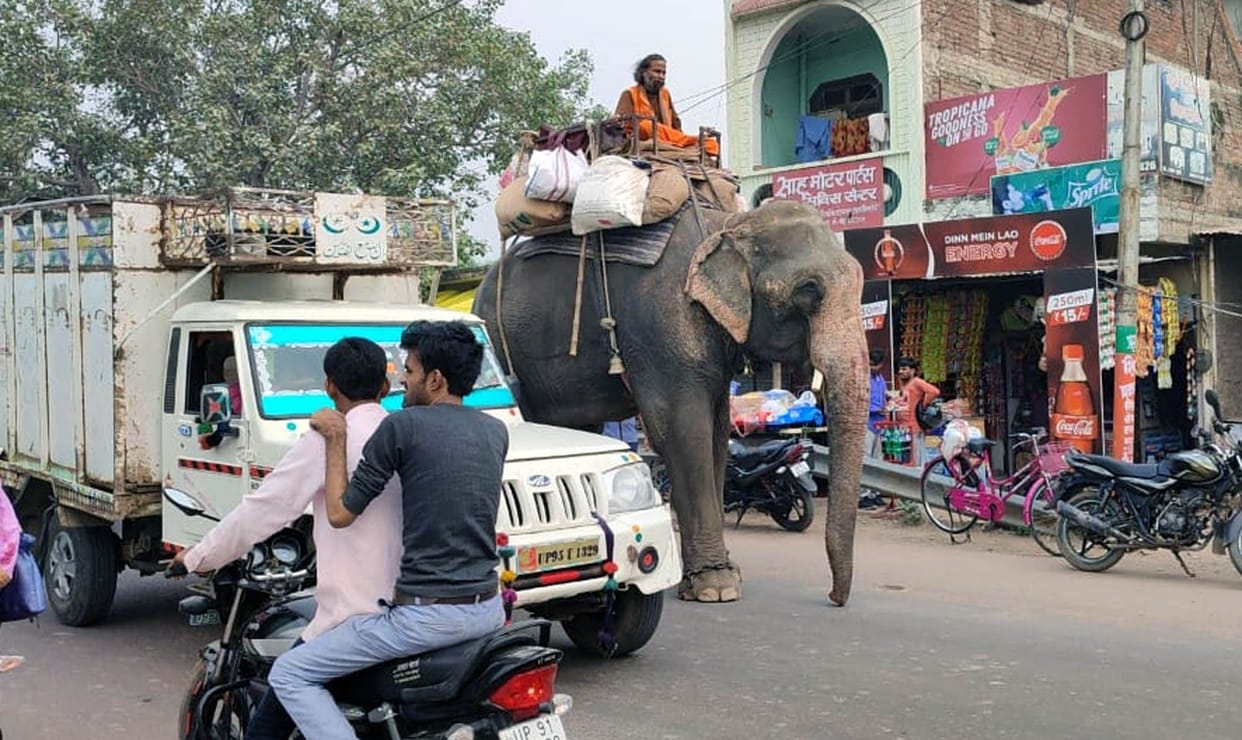 hamirpur news,hamirpur