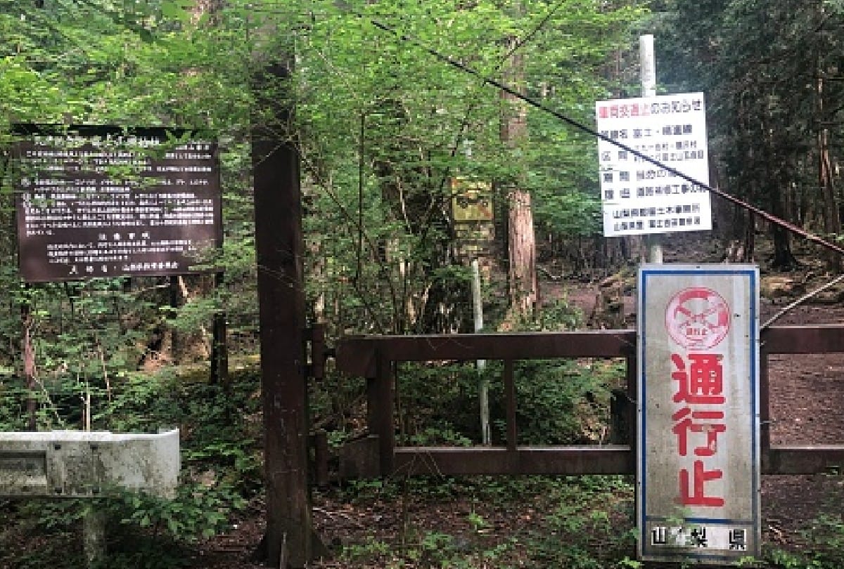 mystery of aokigahara forest japan where people commit suicide compass doesnt work know the sotry behing it