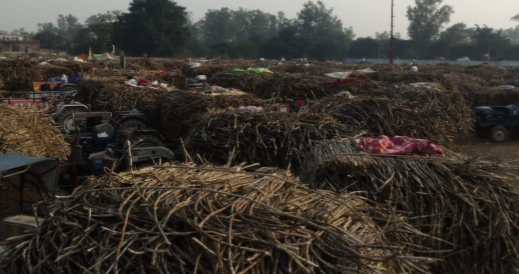 Weighing affected in sugar mill due to technical fault