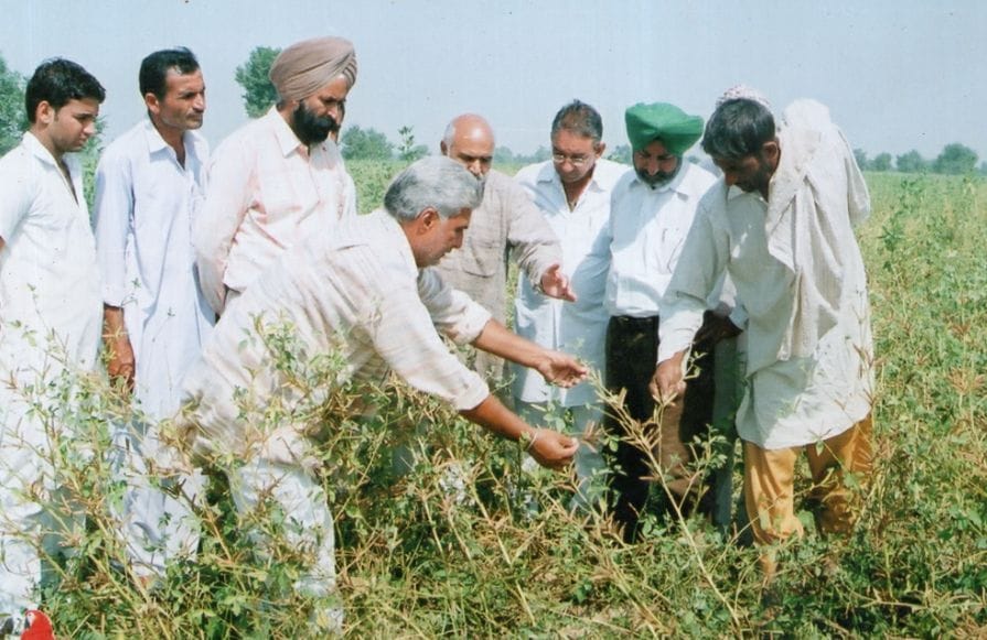 Shamsher Singh Sandhu is earning double by preparing seeds of new varieties in 30 acres