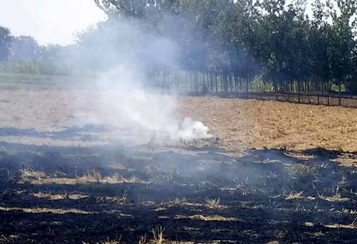 1.25 lakh recovered from 47 farmers for burning stubble