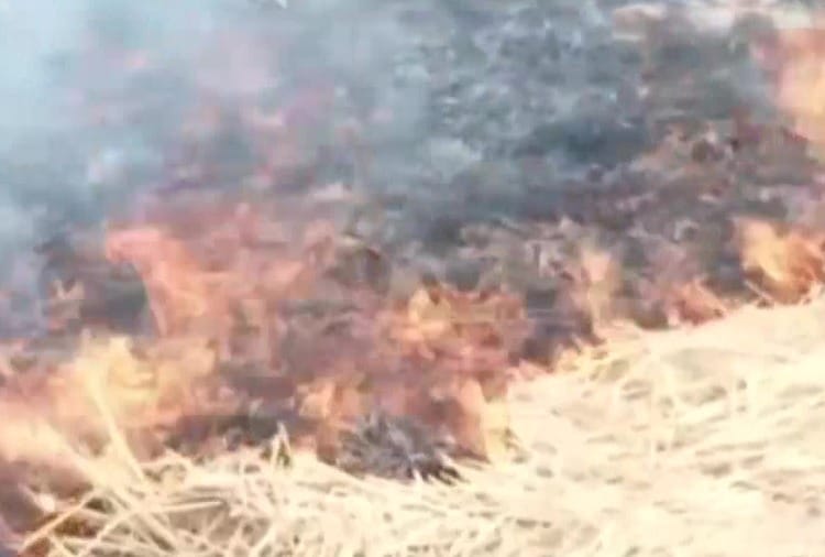 Farmers burnt stubble in Seona village of Patiala