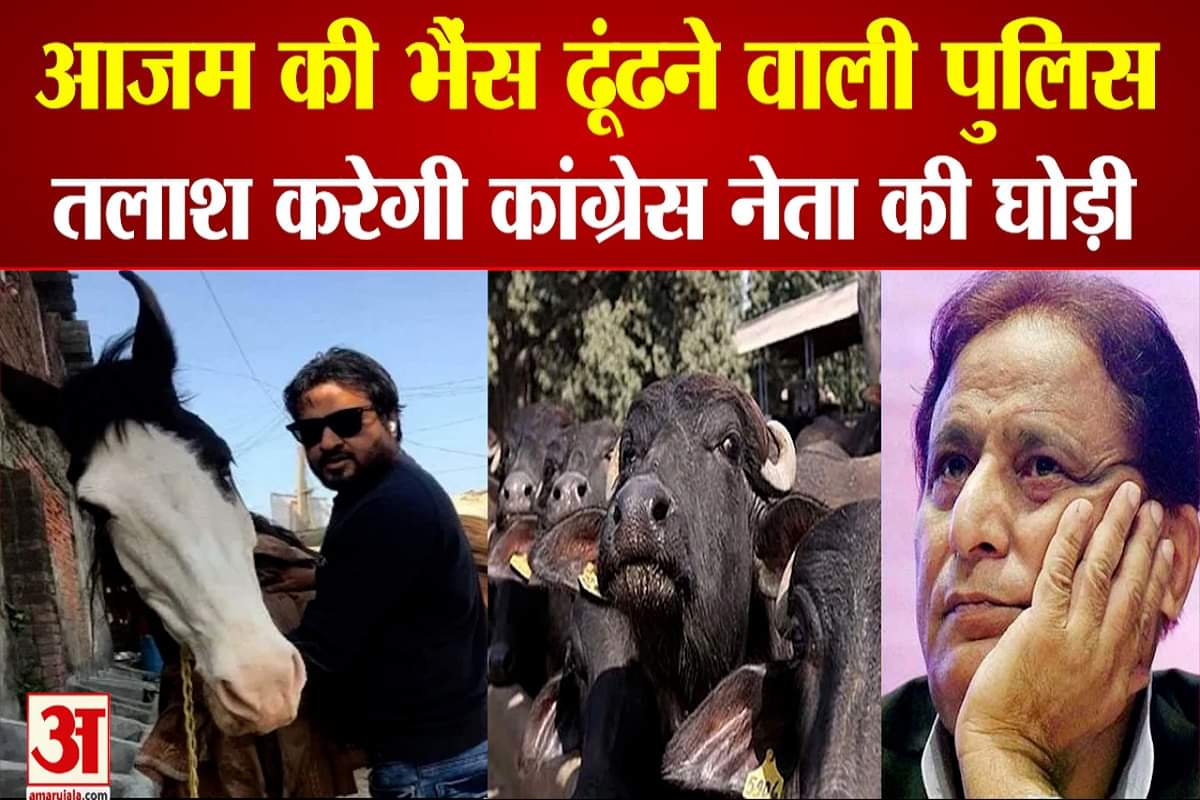 रामपुर पुलिस अब तलाश करेगी कांग्रेस नेता की घोड़ी