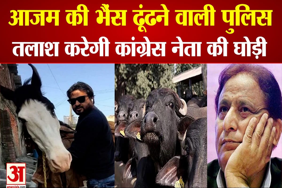 रामपुर पुलिस अब तलाश करेगी कांग्रेस नेता की घोड़ी