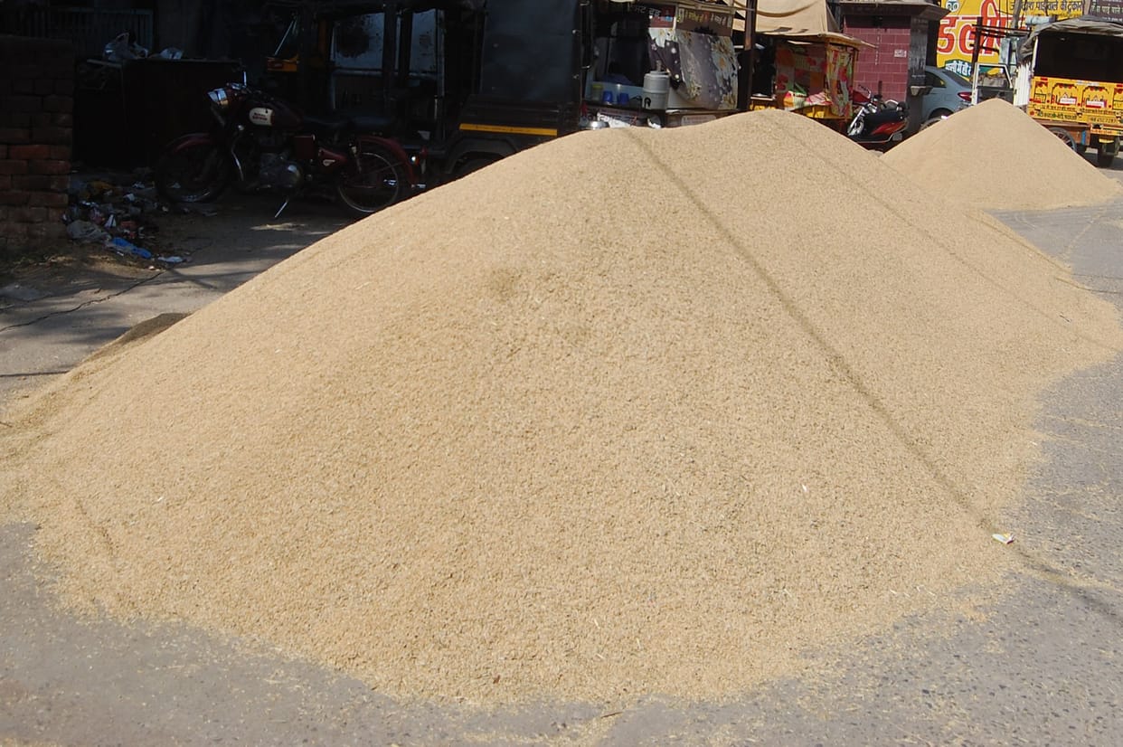 There is no brightness in the price of Basmati, which spreads fragrance abroad