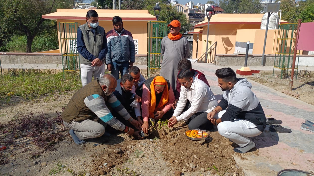 plantation drive