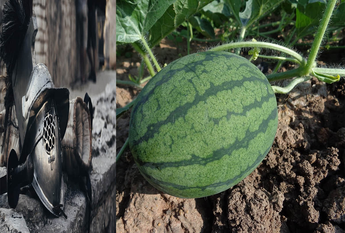matire ki rad story of war between two bikaner and nagaur principality for a watermelon