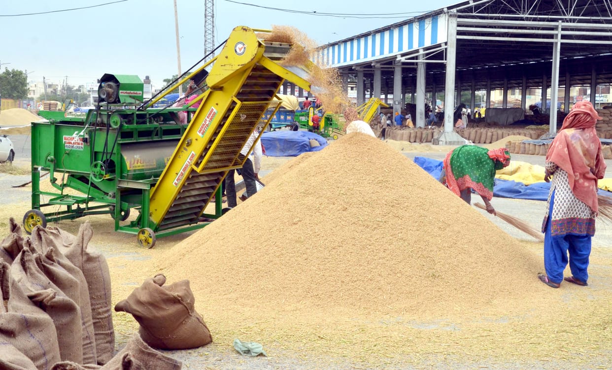 Paddy procurement work in the last round, 5 lakh 66 thousand metric tons were purchased