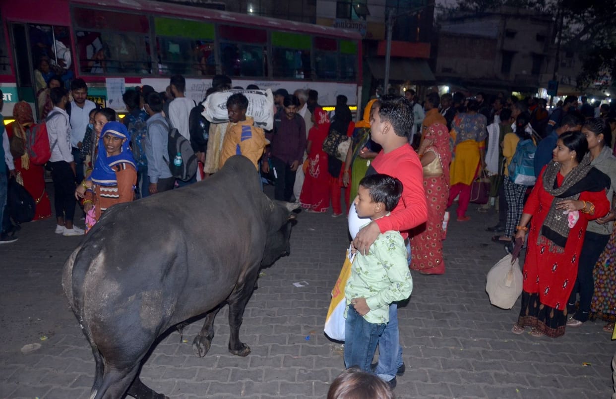 Passengers kept waiting for the buses