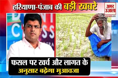 Haryana Government  Increase Crop Compensation