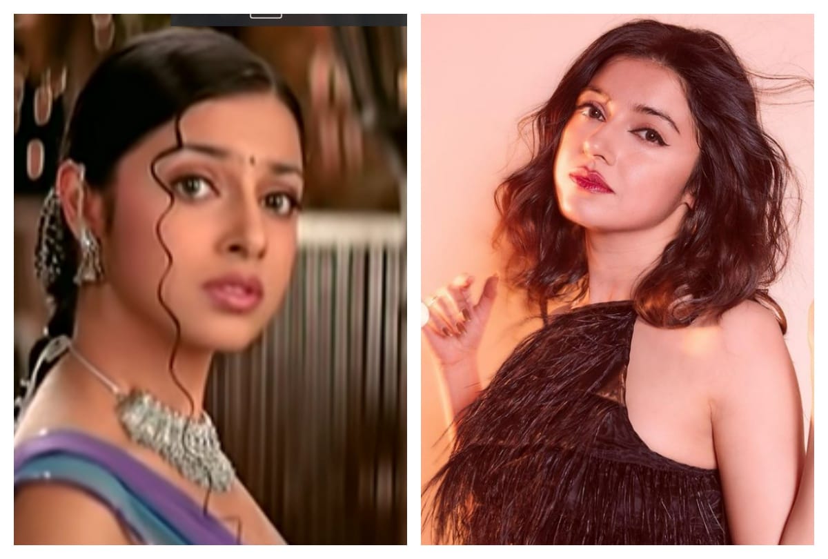 Divya Khosla Kumar's Inspiring Journey From Kabhi Yaadon Me Aau To Now