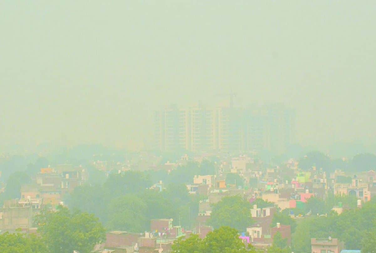 Hindi News Headlines 13 November Today: Important and big news stories of 13 November updates on Amar Ujala