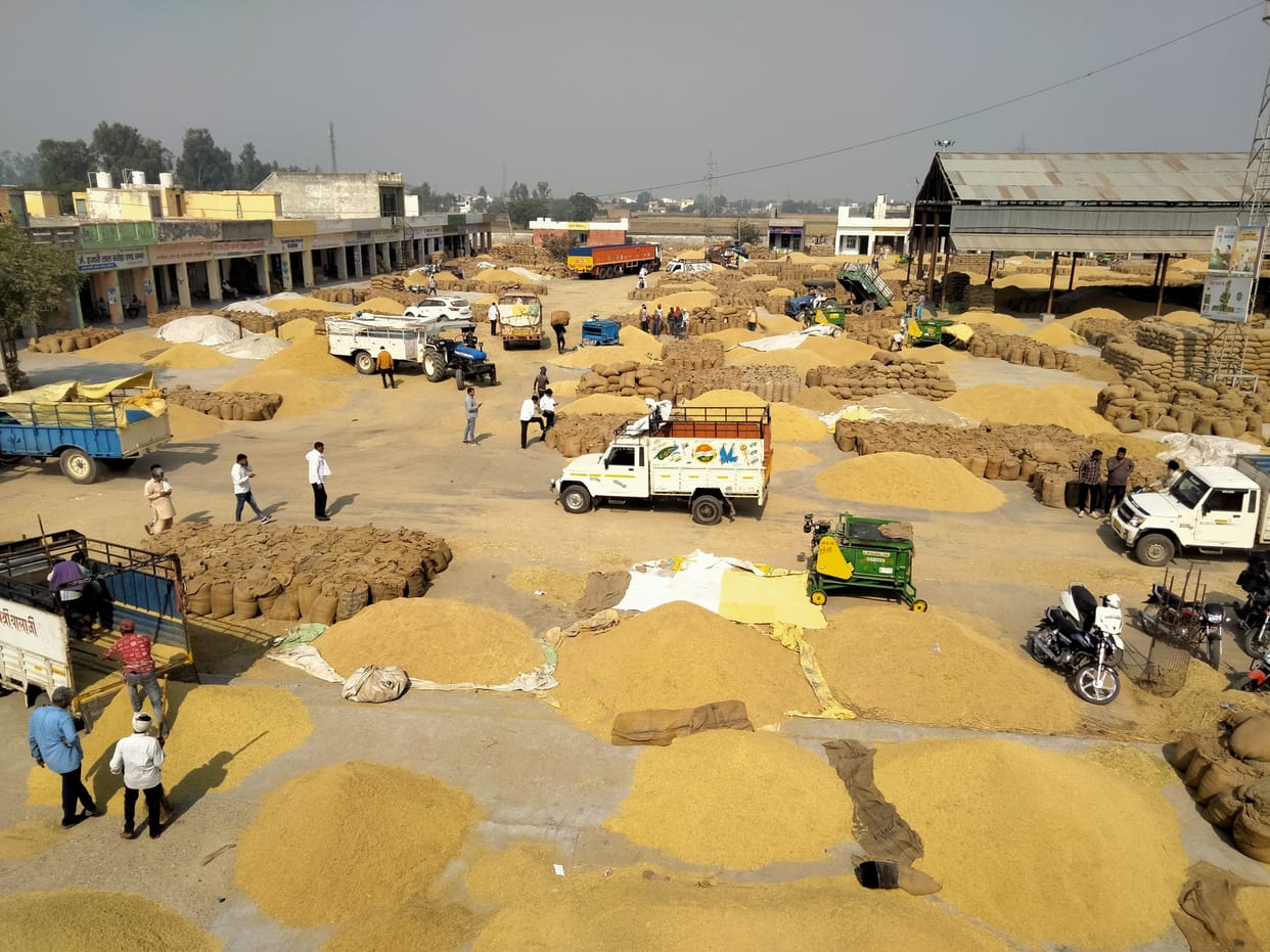 Purchase of PR paddy closed in four out of 13 grain markets of the district