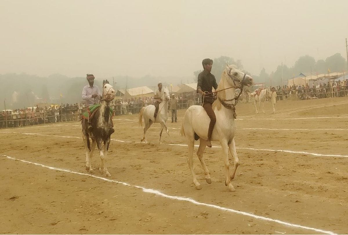 Horse racing organized in Bateshwar cattle fair in agra