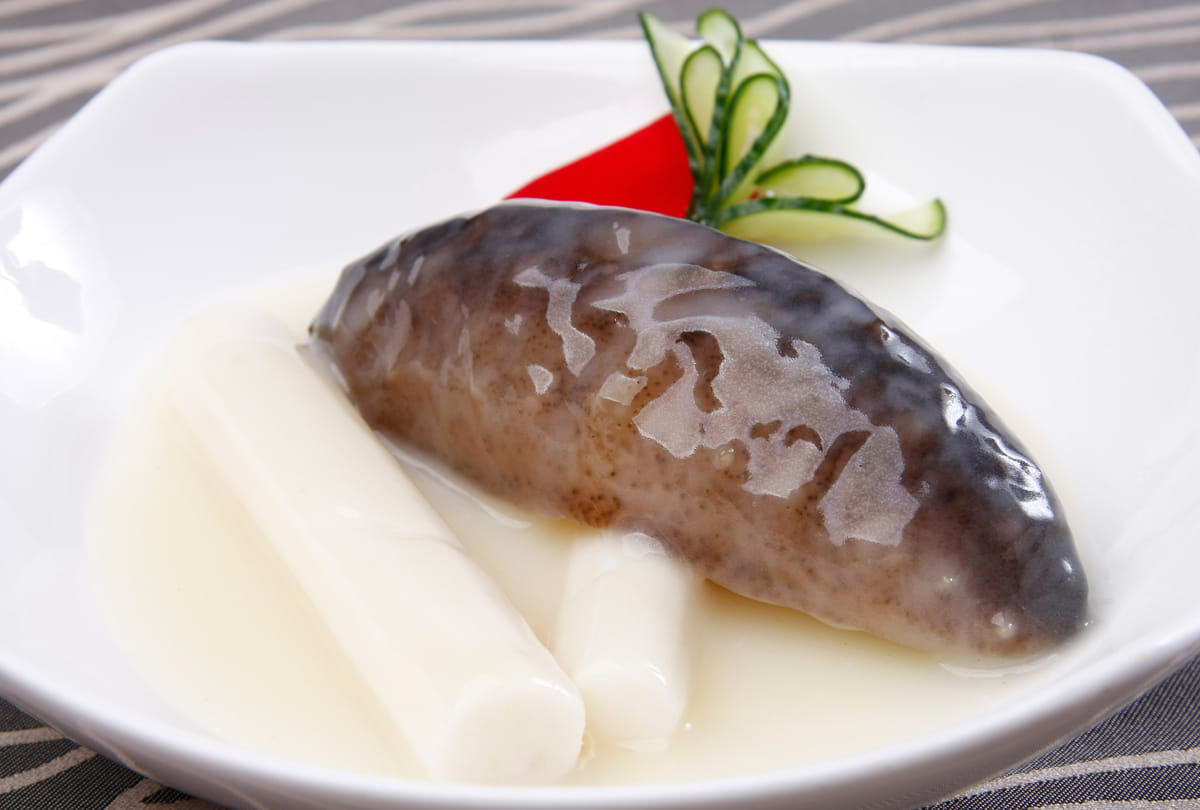 sea cucumber is the most expensive fruit of India than gold know the price the senses will fly away this reason behind it