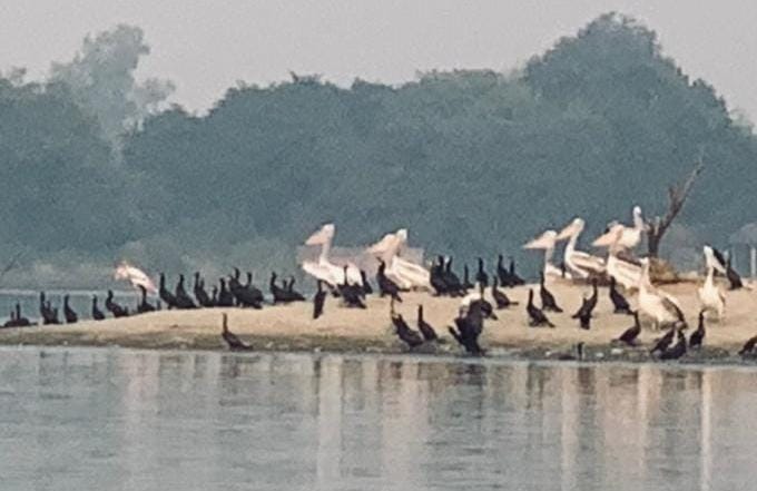 chambal