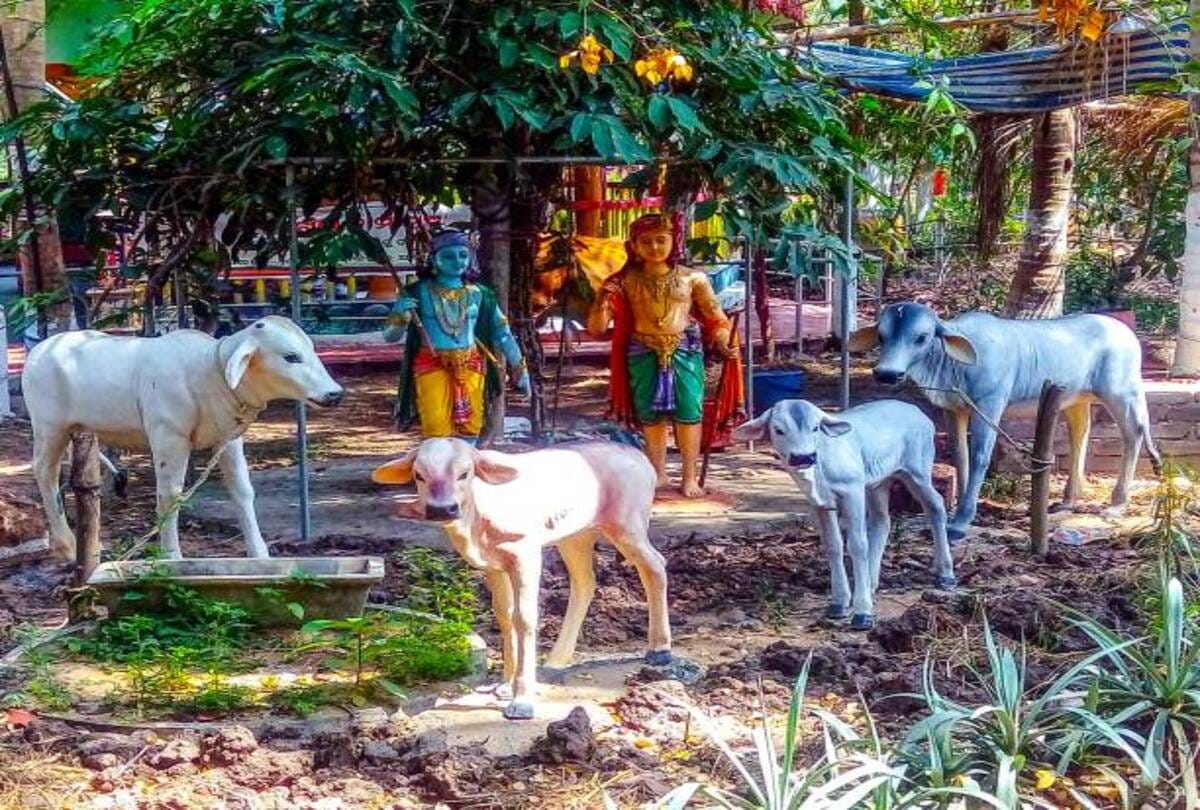 gopashtmi 2023 date puja vidhi importance and significance