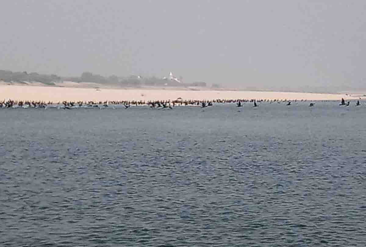 Foreign guests came from across the seven seas, camped on the banks of Chambal