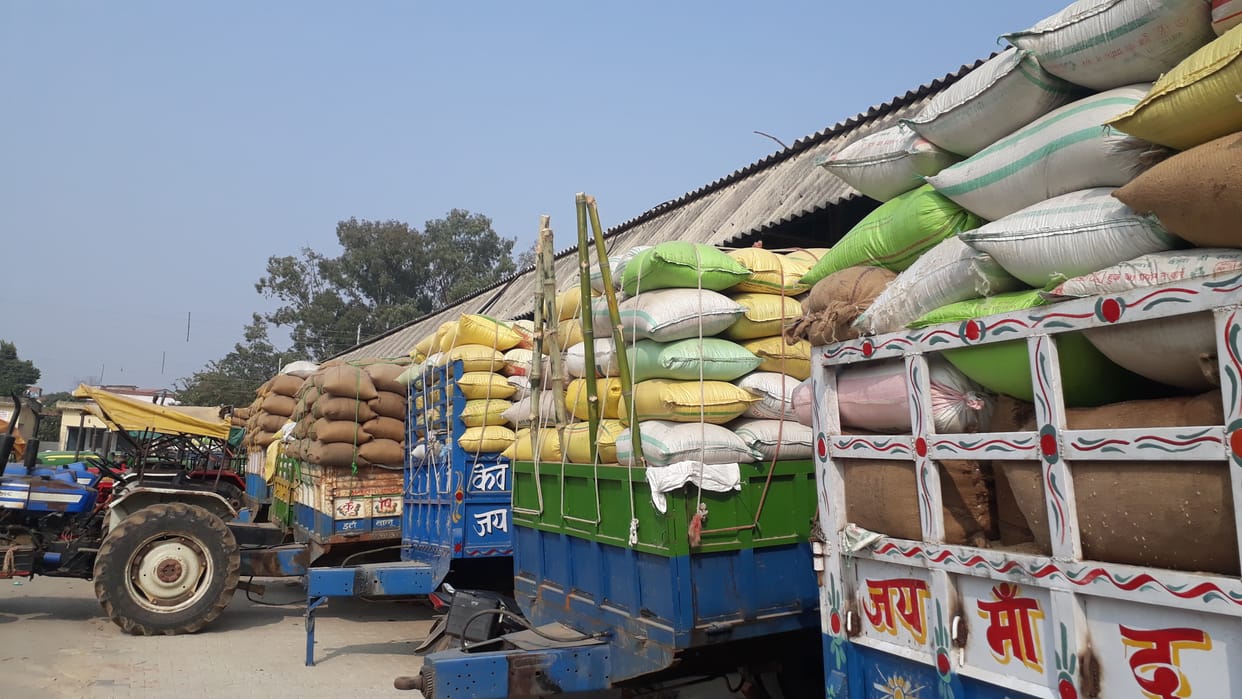 The purchase of paddy is not catching the pace