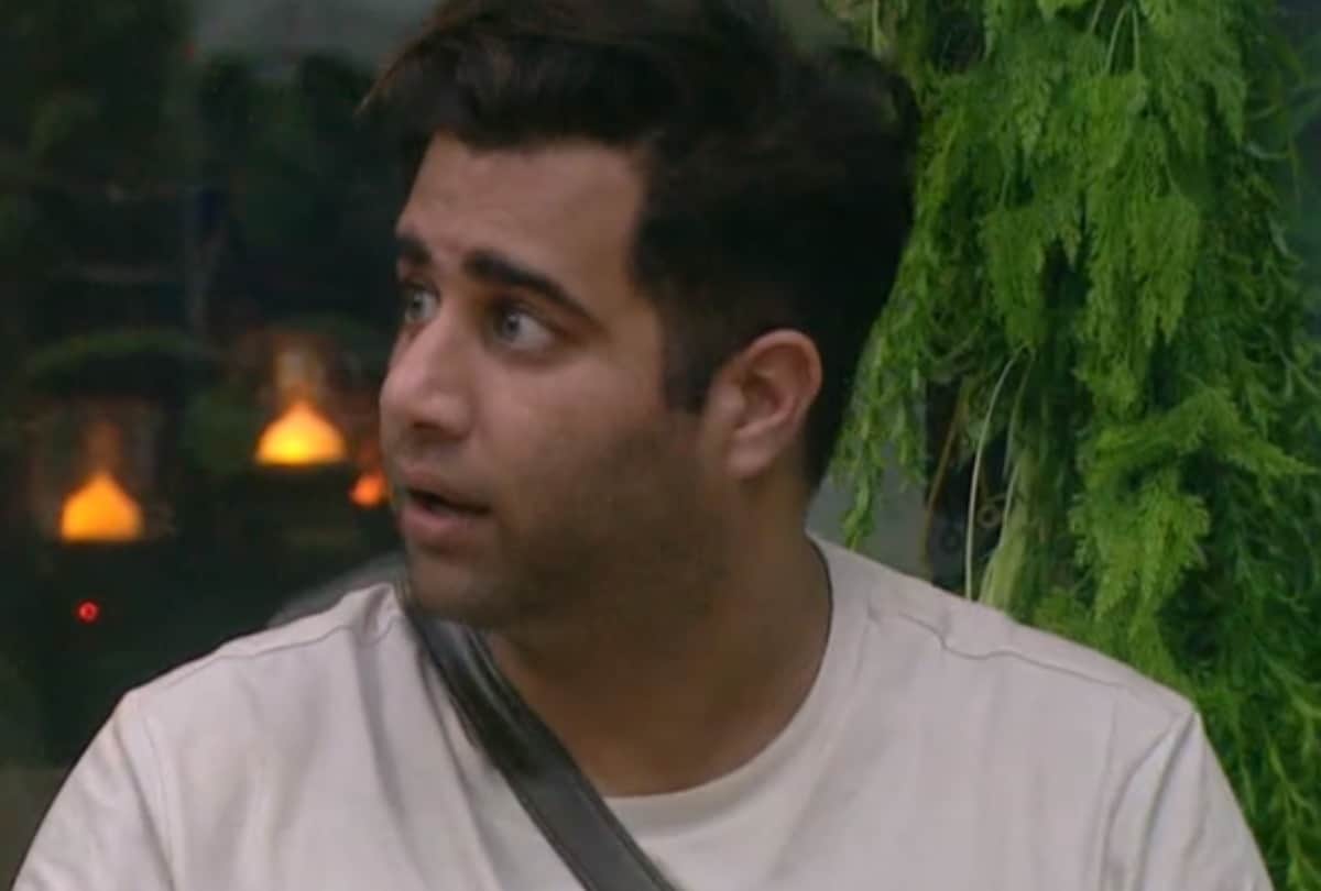 bigg boss 15 pratik sehajpal taunt rajiv adatia for ieshaan sehgaal says it was your strategy to get him out