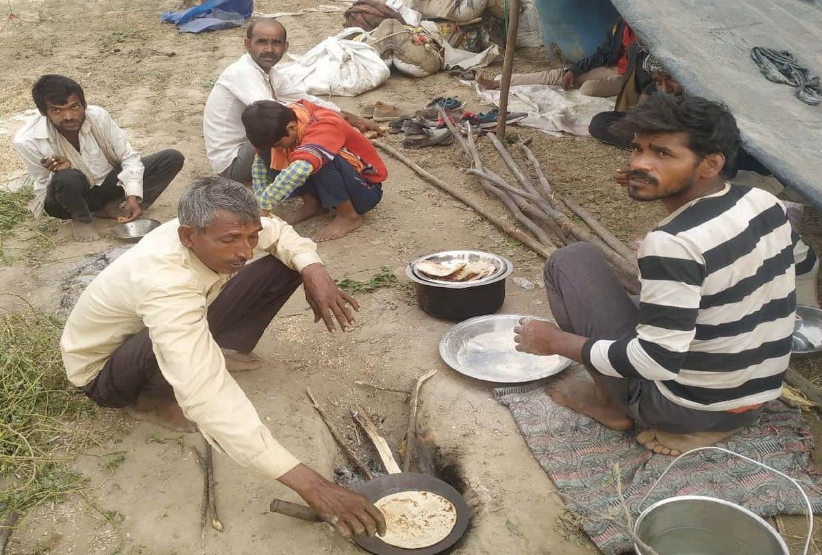 Corona Pandemic Effects On Bateshwar Cattle Fair Many Animal Businessman Return Not Sale