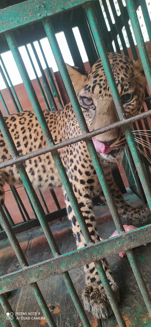 Kunwar Kaimur will enhance the pride of Kanpur Zoo