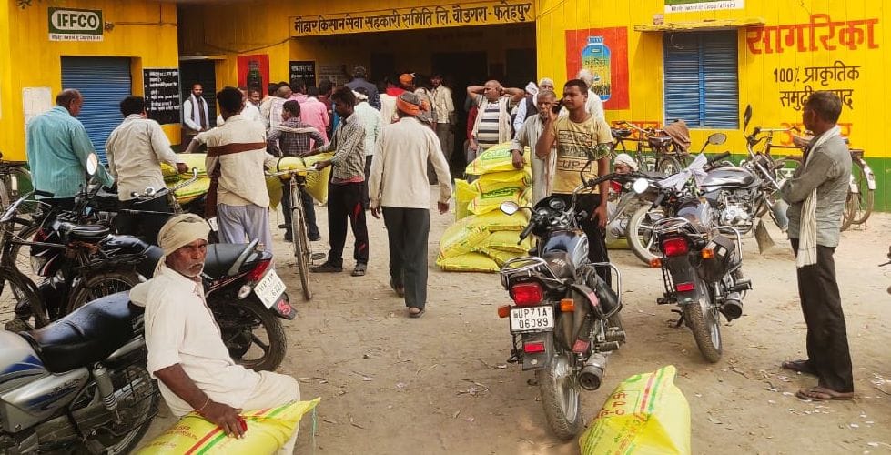 fathepur news,Farmers standing in line since morning for manure leaving food and drink