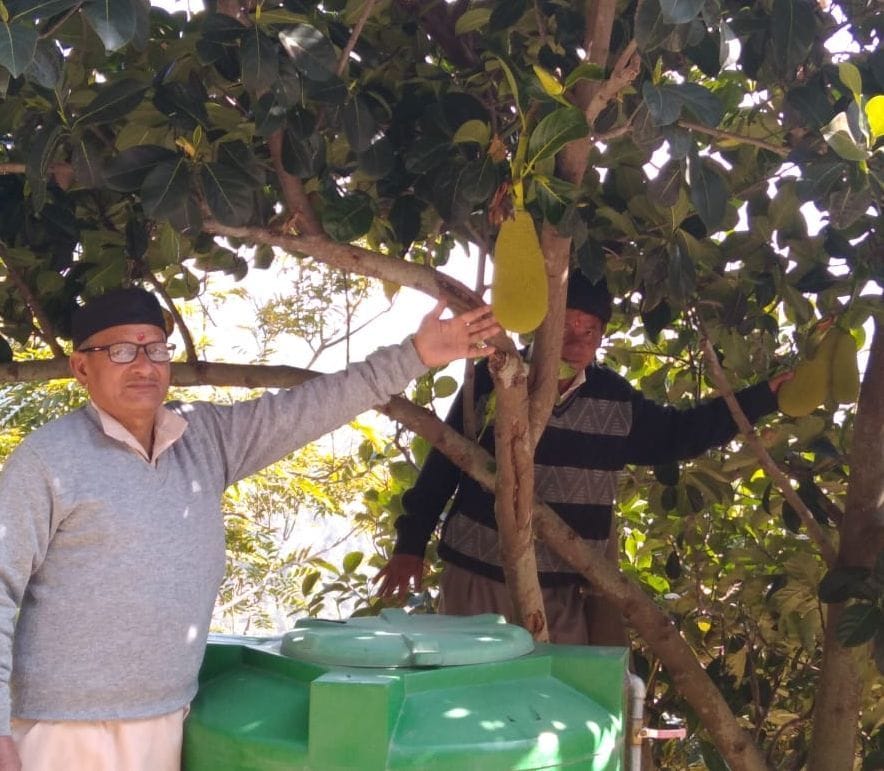 Precaltivation or PreFloweraton Of Katahal in Dhoorafat Region