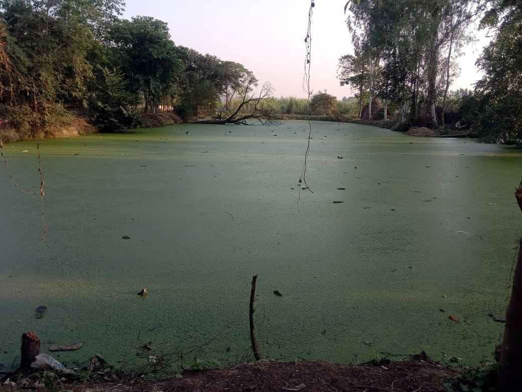 Mutual cooperation changed the picture of village Lakhnaura