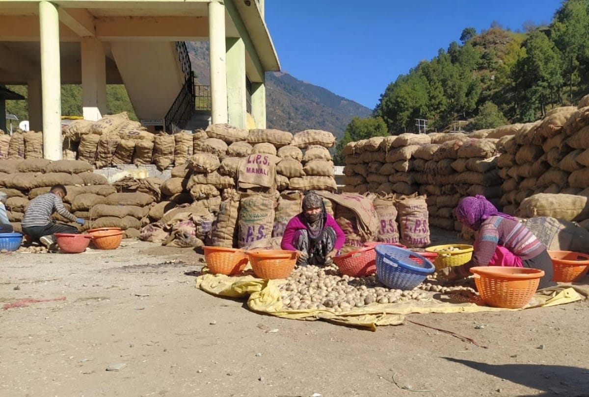 lahaul potato seed demand from Assam uttarakhand west bengal gujarat arunachal pradesh