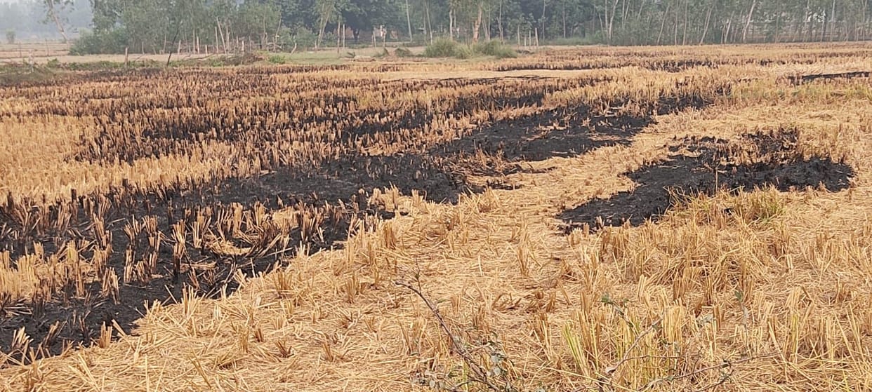 The stubble being burnt indiscriminately in the fields, the sleeping administration