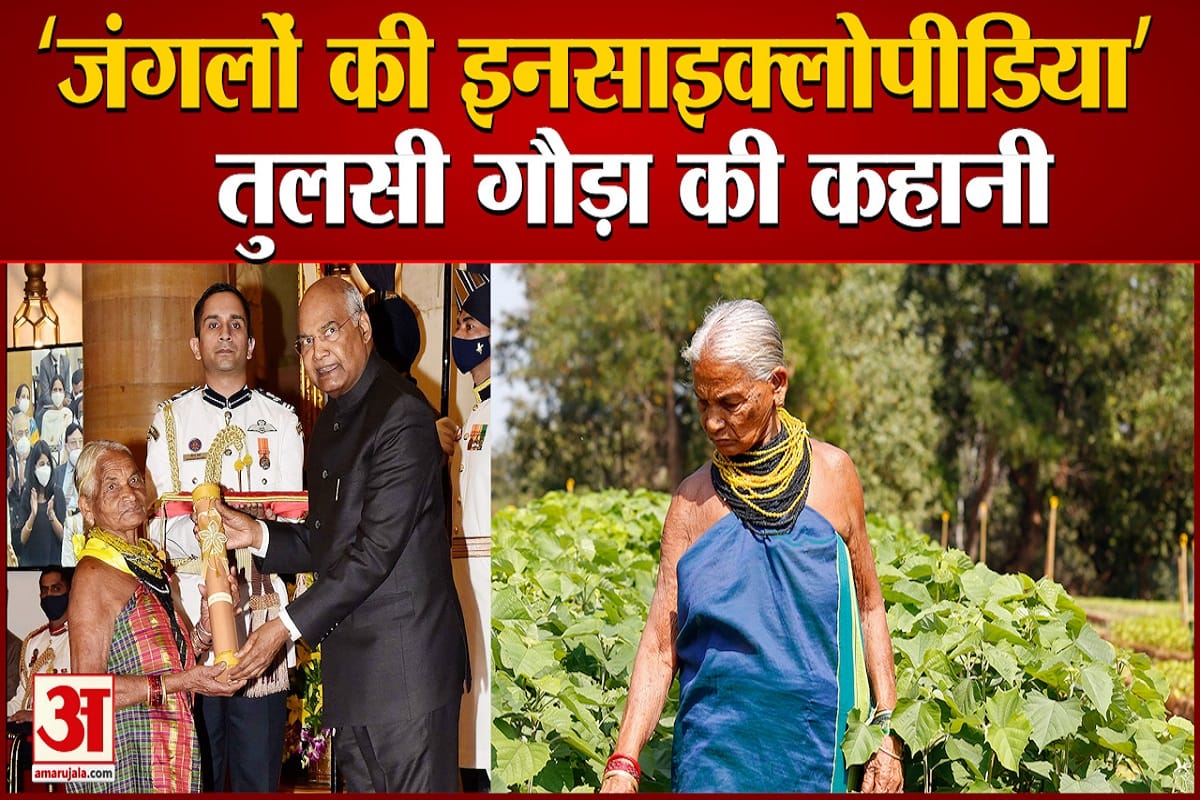Environmentalist Tulsi Gowda who is known as Jungle Encyclopedia awarded Padmashri see how PM reacted seeing her news and updates