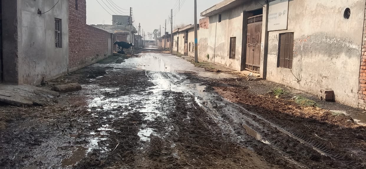 Pass through cow dung, then wash feet and wear shoes to school