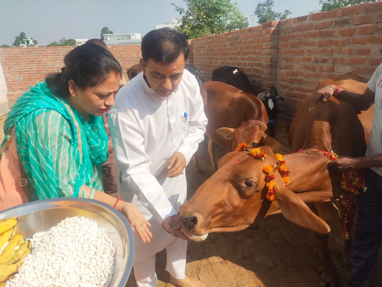 On Gopashtami, cows are served and worshiped in the cowshed.