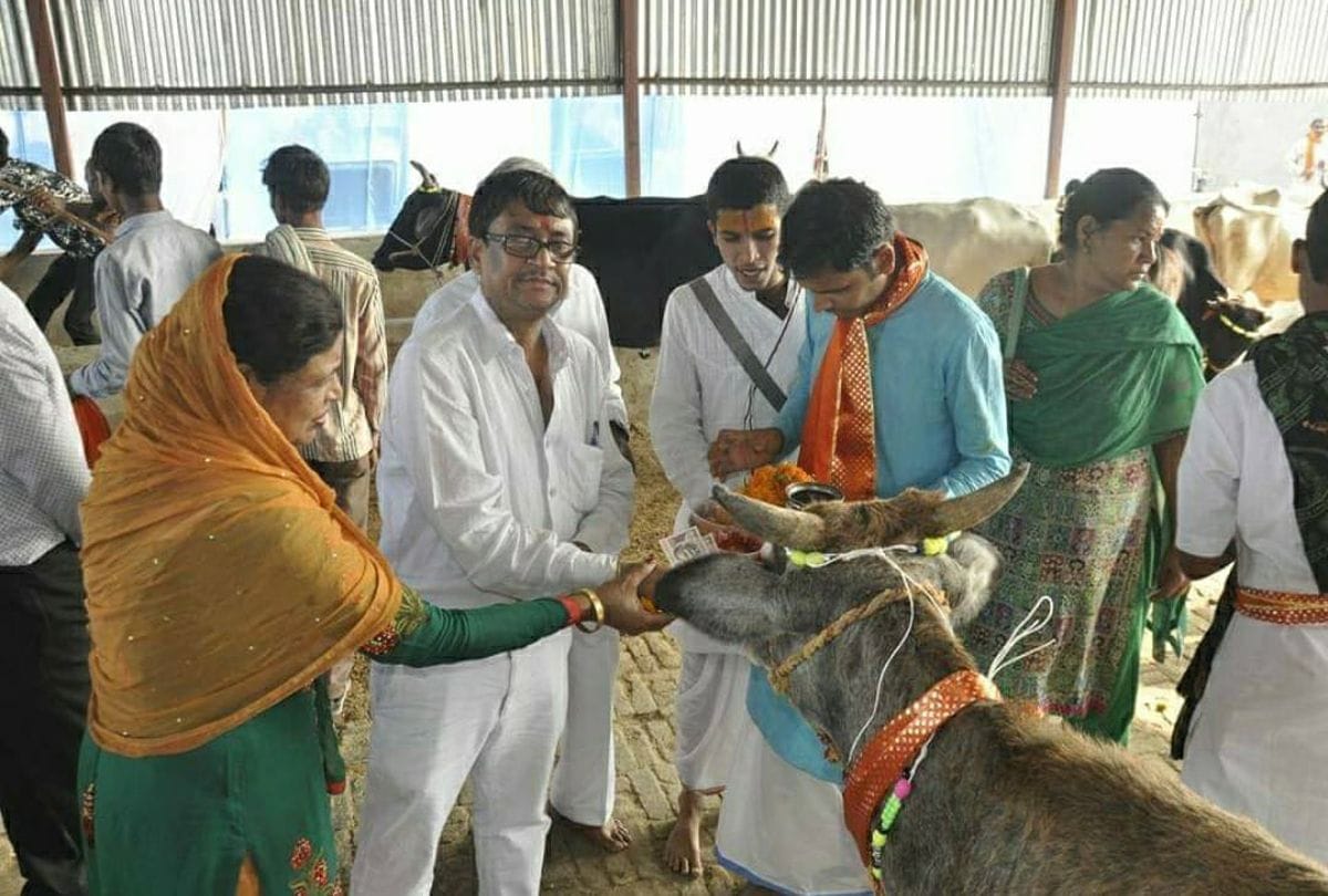 what is the significance of Gopashtami of Shukla Paksha of Kartik month ?