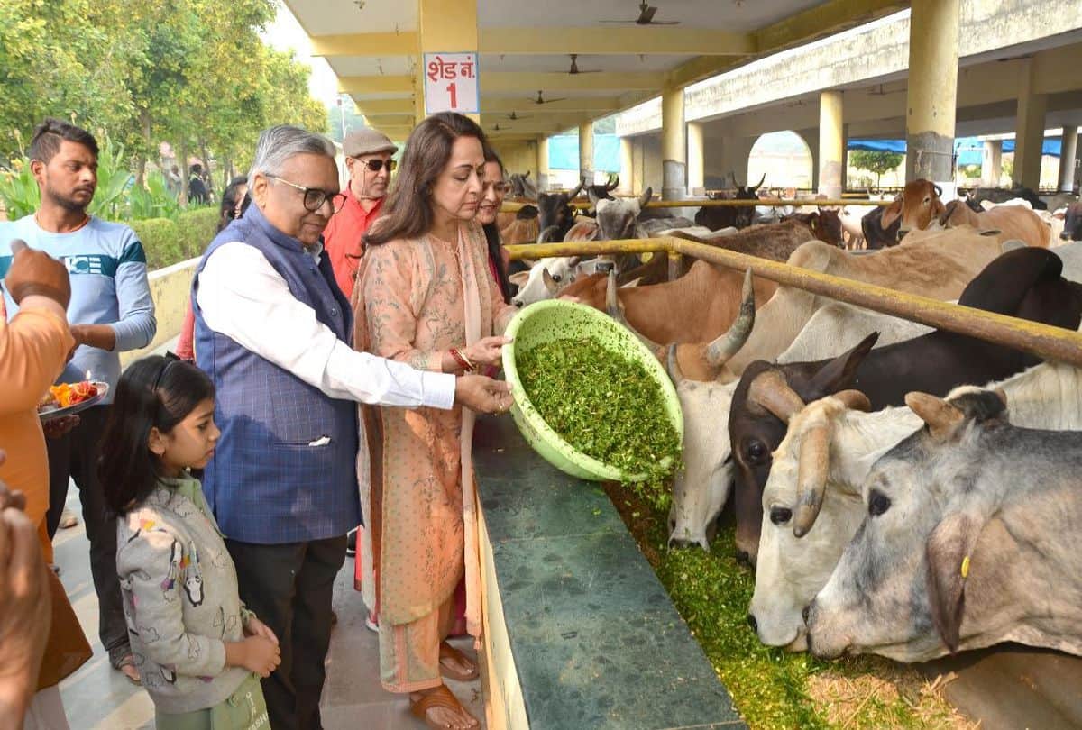 Hema Malini Perform Go Pooja on gopashtami in mathura