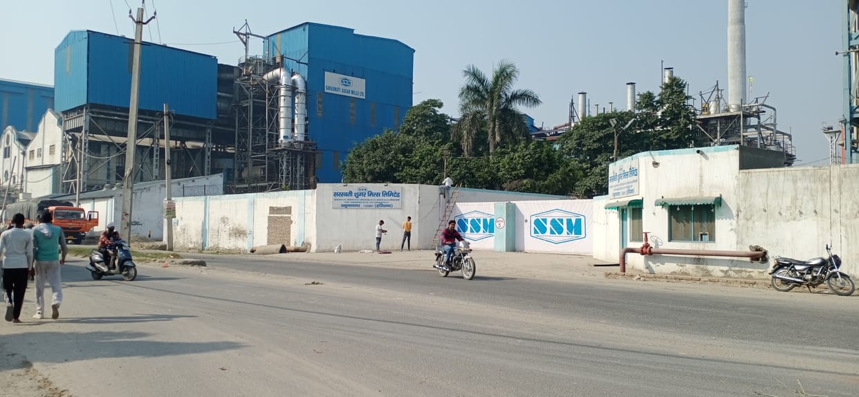 Sugarcane yield less than before, challenge to meet crushing target, Yamunanagar