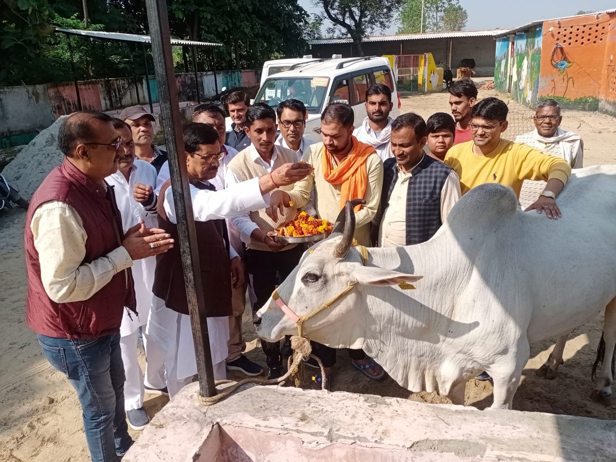 Cows worshiped on Gopashtami, vaccination started