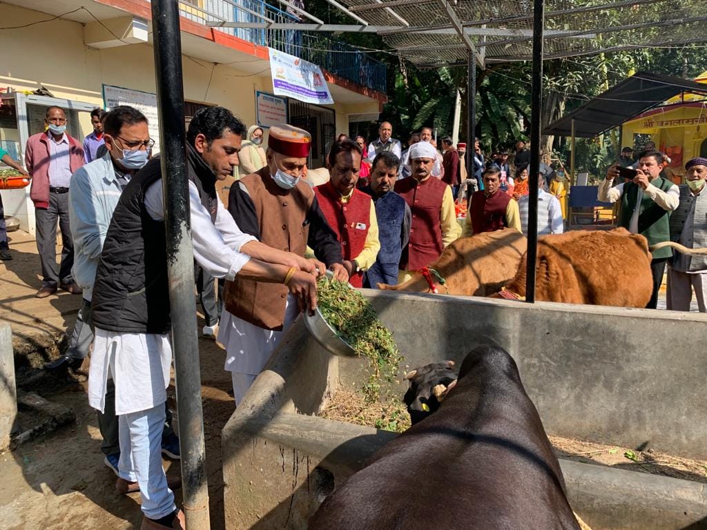 Goseva is the biggest religion; Take all pledge for cow protection: Dhumal
