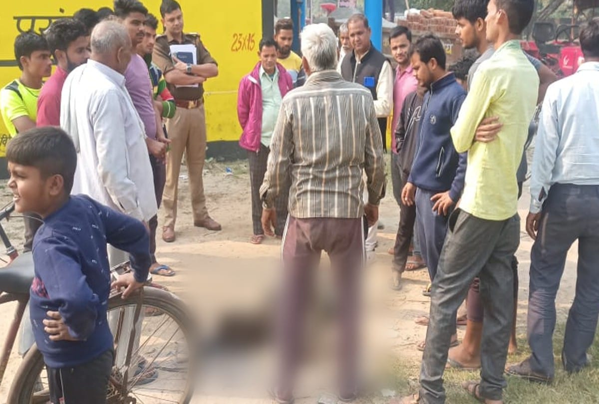 Six peacocks found dead in the farms in agra