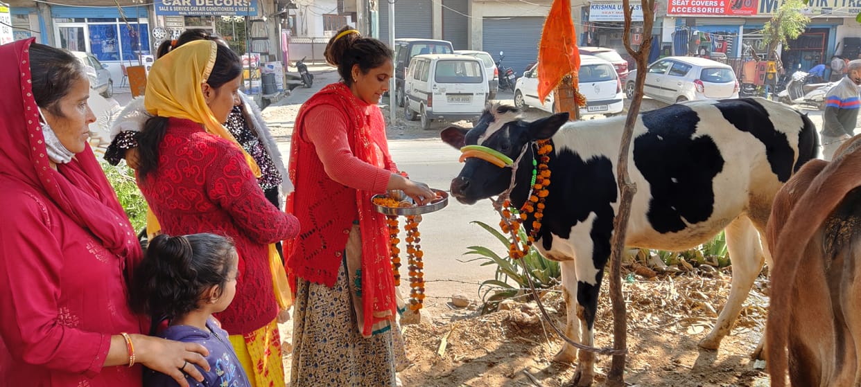 Gopashtami