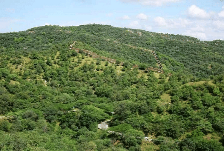 Research in Haryana will reveal the secret of human culture of the Paleolithic period