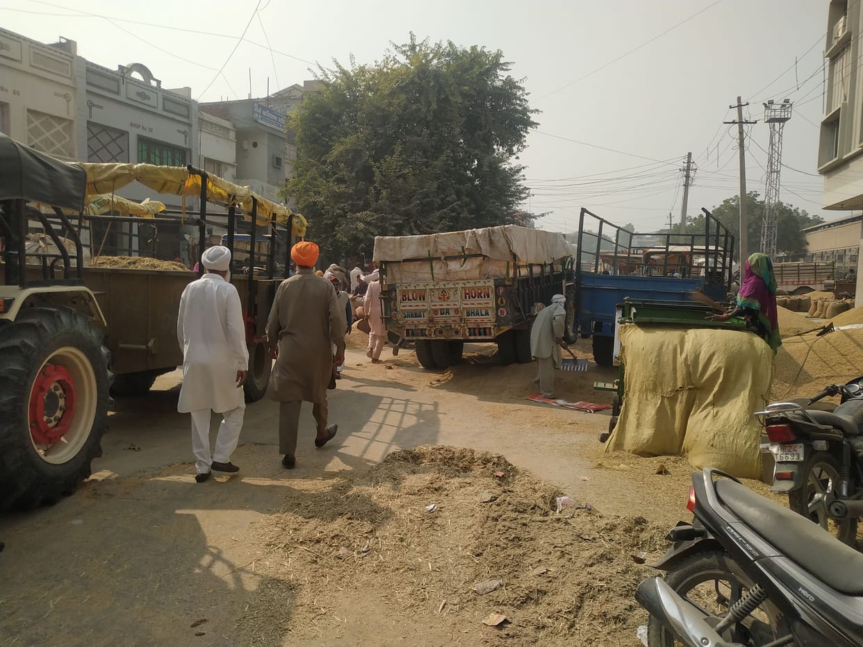 Mandi overcrowded due to excessive arrival of paddy, lifting work is being affected