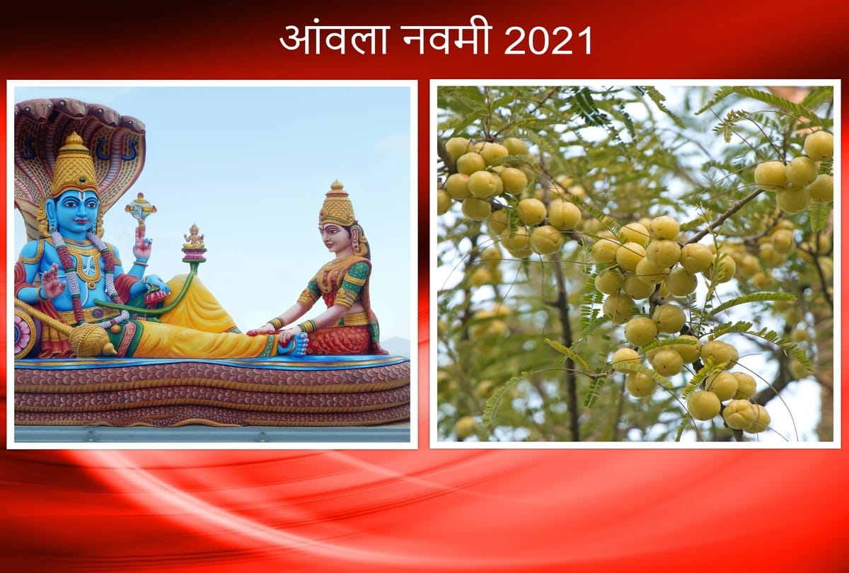amla navmi 2021 puja vidhi samagri shubh muhurat and katha