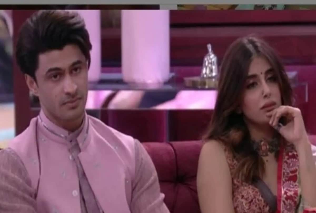 Bigg Boss 15: Mayesha Iyer answered the questions raised on her relationship reprimanded those who called love a liar