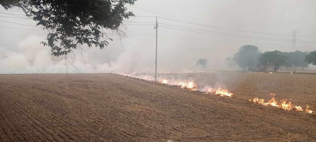 Stubble burnt at 35 places in the district, AAQI 422