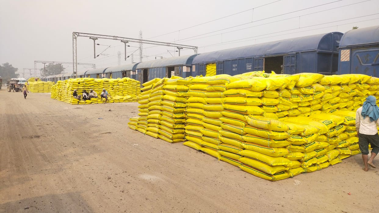 DAP rack will be set up again today, 25000 bags will come